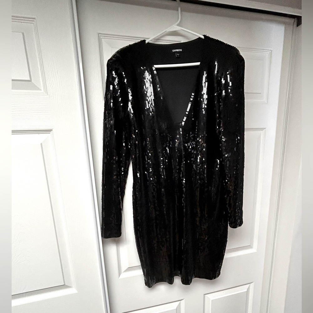 Express sequin dress